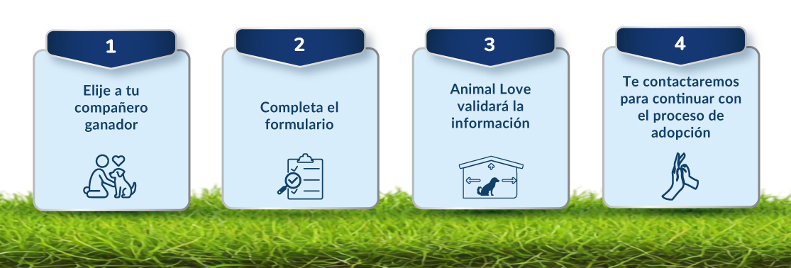 Descripción