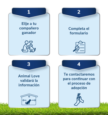 Descripción